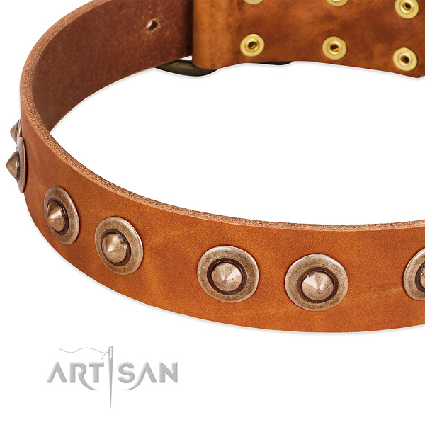 Strong adornments on full grain genuine leather dog collar for your pet