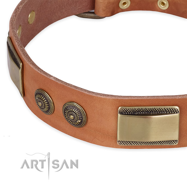 Rust resistant studs on full grain genuine leather dog collar for your dog