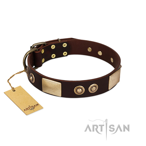 Easy wearing full grain natural leather dog collar for everyday walking your dog