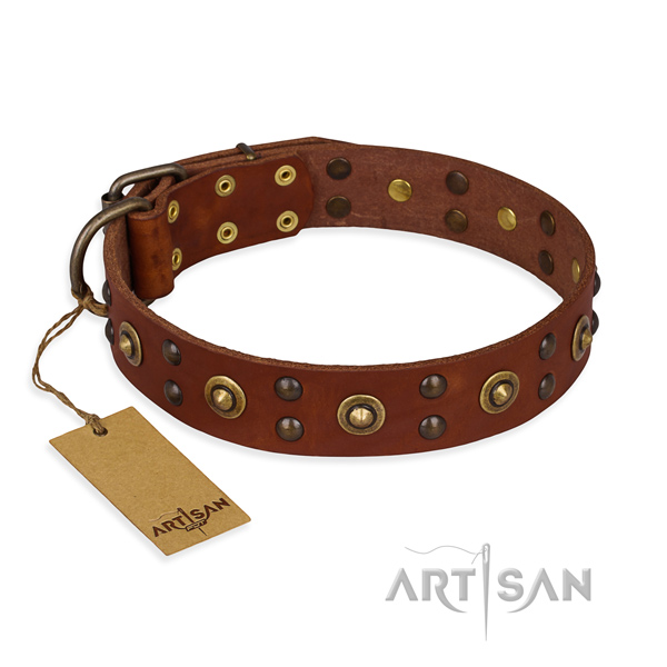 Designer genuine leather dog collar with corrosion resistant traditional buckle