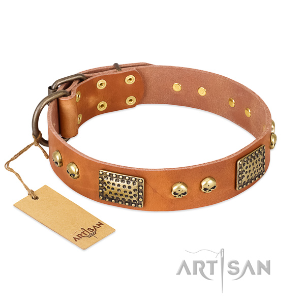 Easy to adjust genuine leather dog collar for everyday walking your doggie