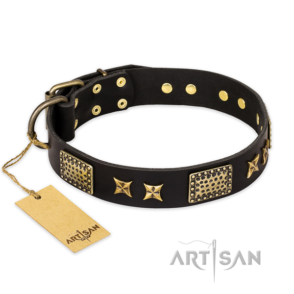 Adorned leather dog collar with corrosion proof fittings