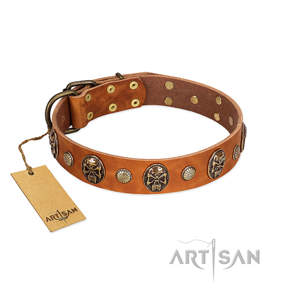 Stylish full grain natural leather dog collar for walking