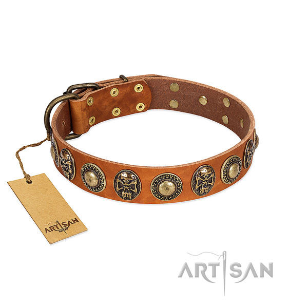 Easy to adjust full grain leather dog collar for stylish walking your dog