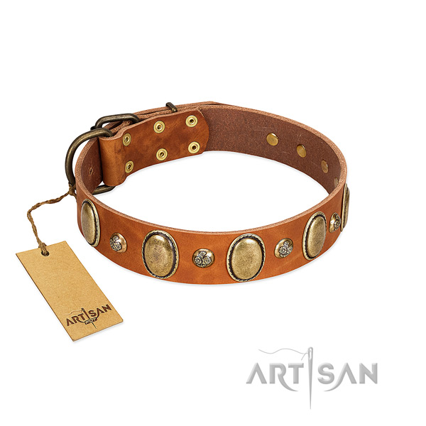 Genuine leather dog collar of quality material with stylish design studs