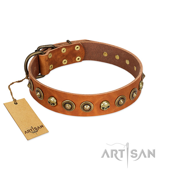 Genuine leather collar with awesome studs for your four-legged friend