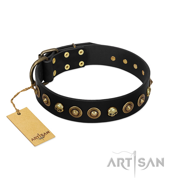 Genuine leather collar with remarkable adornments for your doggie