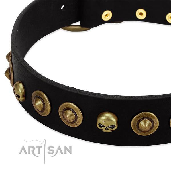 Full grain leather dog collar with exceptional embellishments