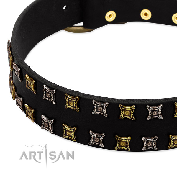 Top rate full grain leather dog collar for your handsome four-legged friend