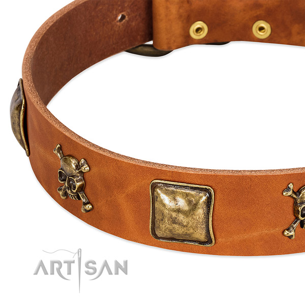 Remarkable full grain genuine leather dog collar with durable studs