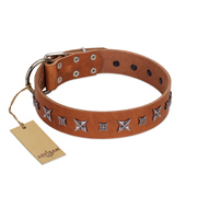 "Star Shine" Exclusive FDT Artisan Tan Leather Belgian Malinois Collar with Silver-Like Adornments  "Star Shine" Exclusive FDT Artisan Tan Leather Belgian Malinois Collar with Silver-Like Adornments