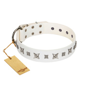 "Fashion Star" FDT Artisan White Leather Belgian Malinois Collar with Silver-Like Engraved Plates and Stars  "Fashion Star" FDT Artisan White Leather Belgian Malinois Collar with Silver-Like Engraved Plates and Stars