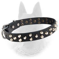 Decorated Leather Belgian Malinois Dog Collar With  Nickel Covered Hardware
