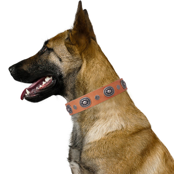 Natural leather dog collar with rust-proof buckle and D-ring for everyday walking
