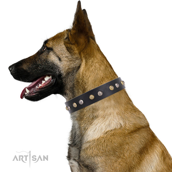 Leather dog collar with rust resistant buckle and D-ring for stylish walking