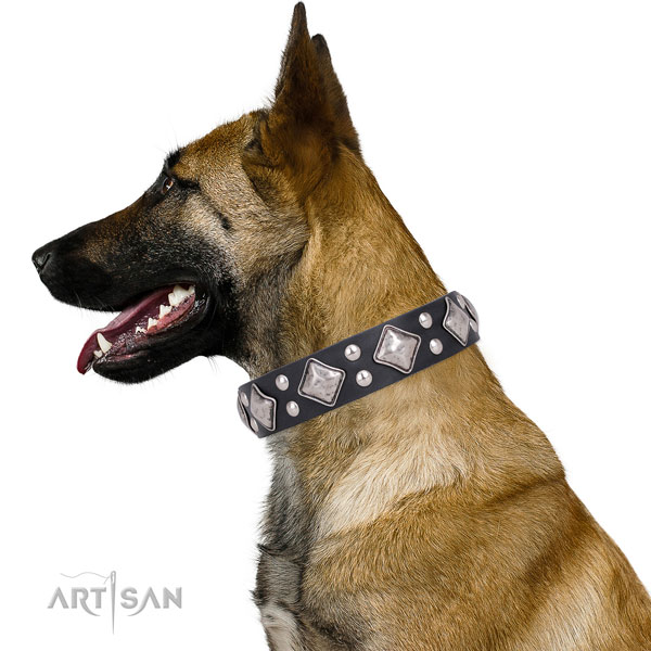 Fancy walking decorated dog collar made of reliable genuine leather