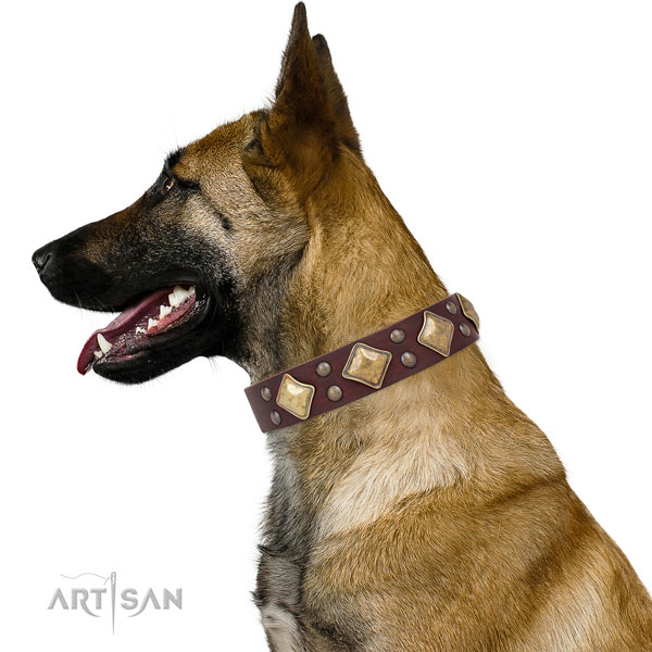 Easy wearing adorned dog collar made of quality leather