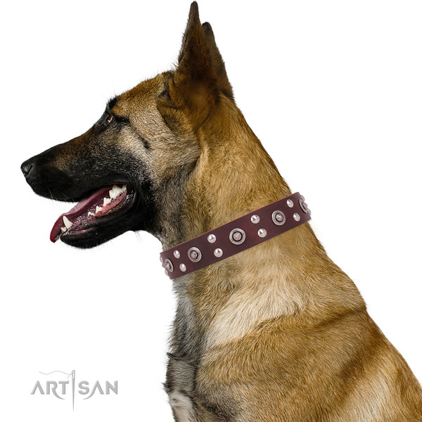 Fancy walking dog collar with exquisite decorations