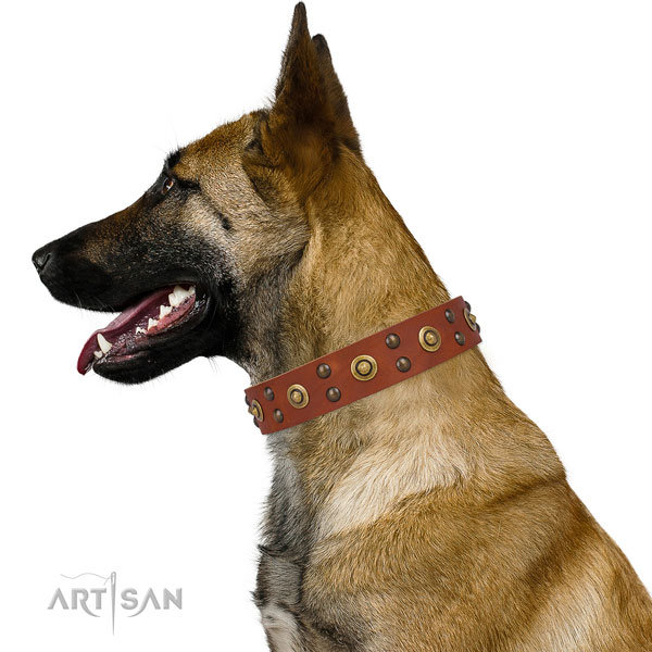 Everyday use dog collar with unique adornments