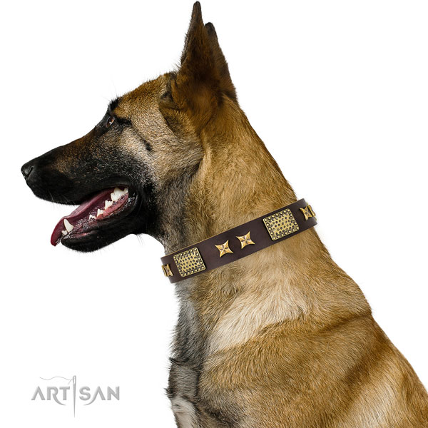 Handy use dog collar with designer studs