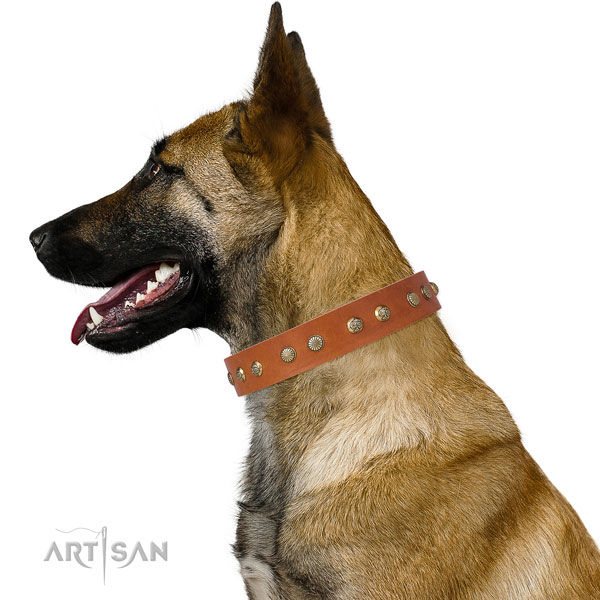 Exquisite embellishments on everyday walking natural genuine leather dog collar