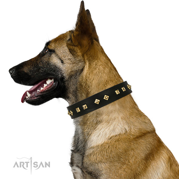 Stunning decorations on daily walking full grain leather dog collar