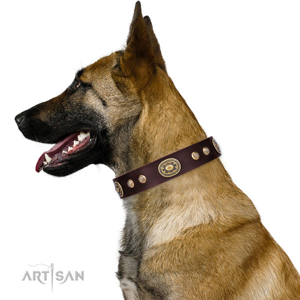 Exceptional decorations on fancy walking dog collar