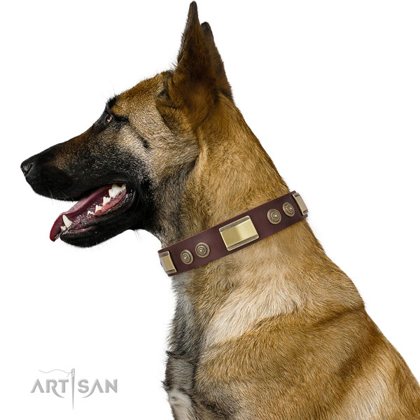 Extraordinary embellishments on handy use dog collar