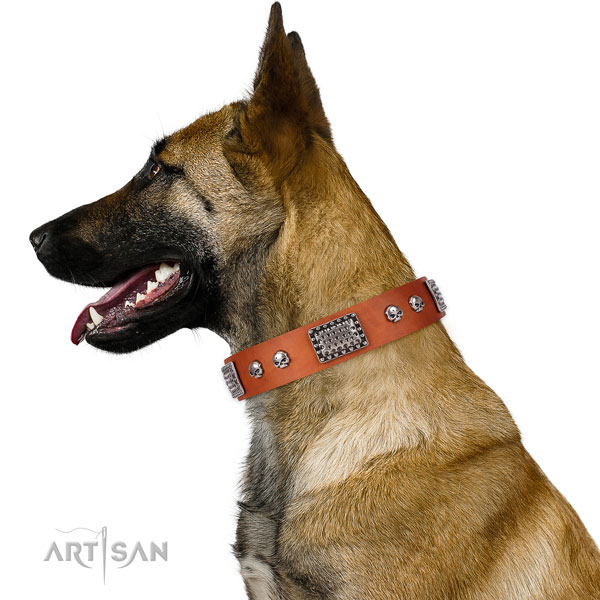 Extraordinary genuine leather collar for your stylish doggie