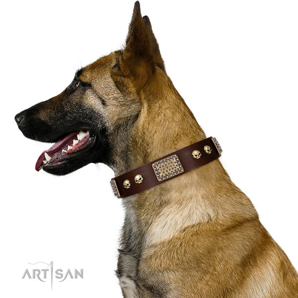 Corrosion proof buckle on leather dog collar for basic training