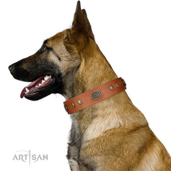 Corrosion proof D-ring on genuine leather dog collar for comfy wearing