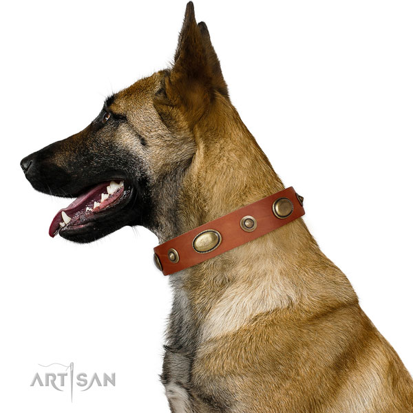 Handy use dog collar of leather with trendy embellishments
