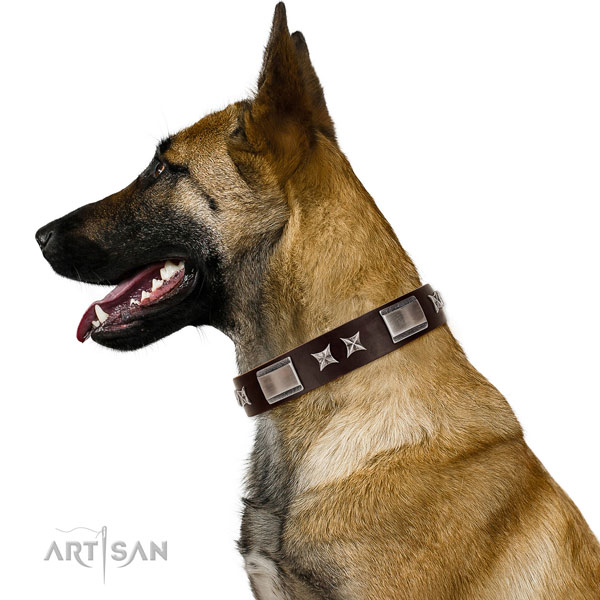 Easy to adjust collar of full grain natural leather for your handsome pet