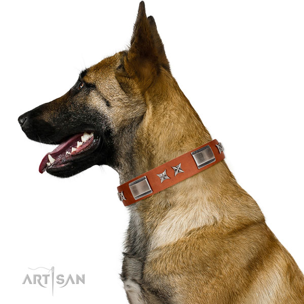 Fancy walking flexible genuine leather dog collar with decorations