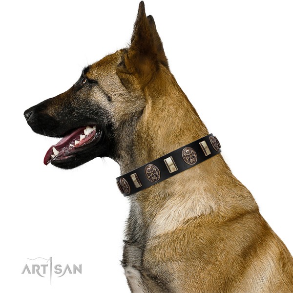 Full grain leather collar with adornments for your impressive pet