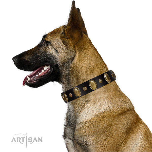 Leather dog collar of flexible material with stylish design decorations