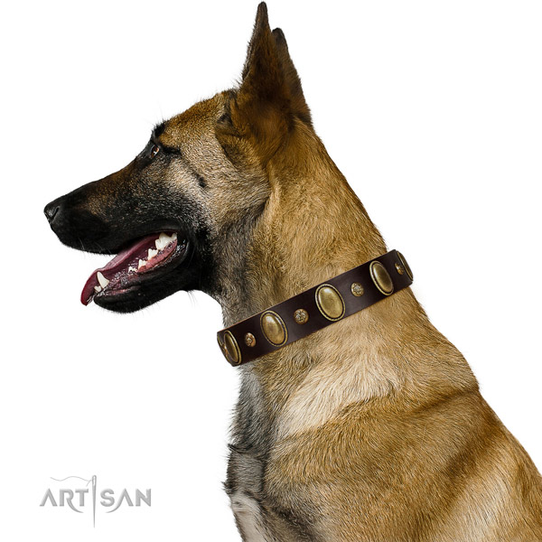 Genuine leather dog collar of soft to touch material with significant studs