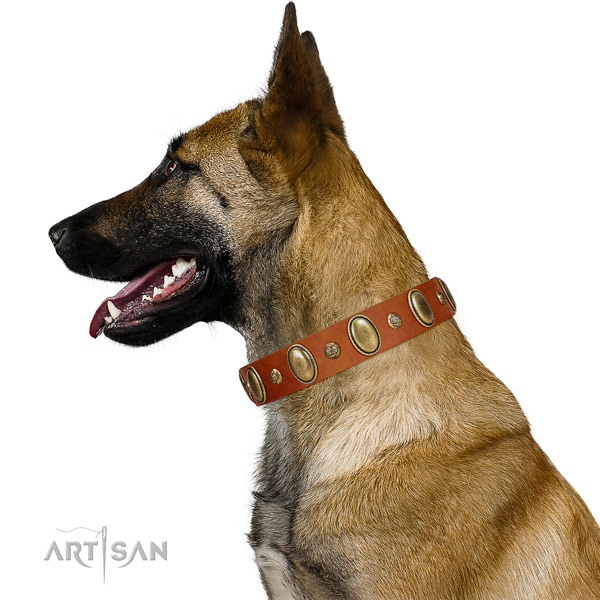 Decorated genuine leather dog collar with rust resistant hardware