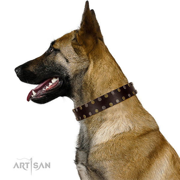 Stylish walking genuine leather dog collar with decorations
