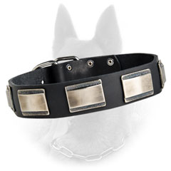 Belgian Malinois Leather Dog Collar Decorated with Carved Massive Nickel Plates