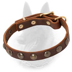 Malinois Studded Leather Dog Collar Decorated with  Brass Half-Ball Studs
