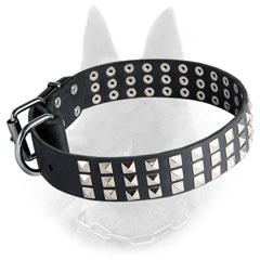 Belgian Malinois Studded Leather Dog Collar Equipped  with Nickel Covered Fittings