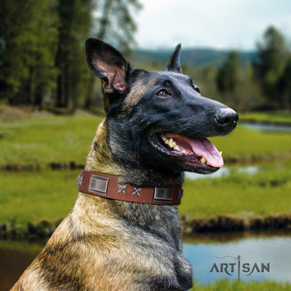 Belgian Malinois everyday walking genuine leather collar for your stylish canine