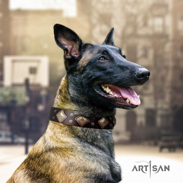 Belgian Malinois daily walking full grain leather collar for your handsome canine