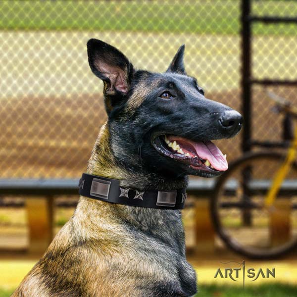 Belgian Malinois comfy wearing natural leather collar for your attractive dog