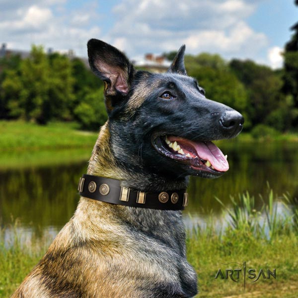 Belgian Malinois basic training full grain genuine leather collar for your impressive doggie