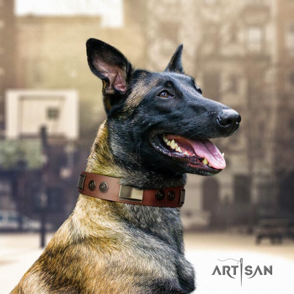 Belgian Malinois everyday use full grain leather collar for your lovely pet
