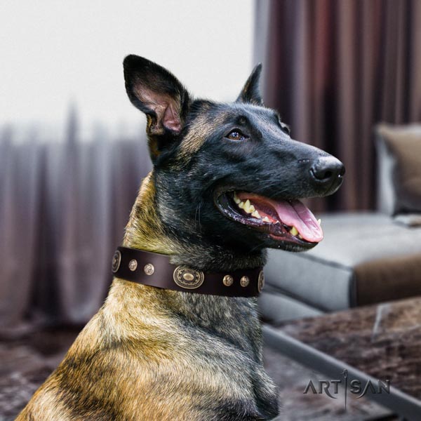Belgian Malinois daily use full grain leather collar for your beautiful doggie