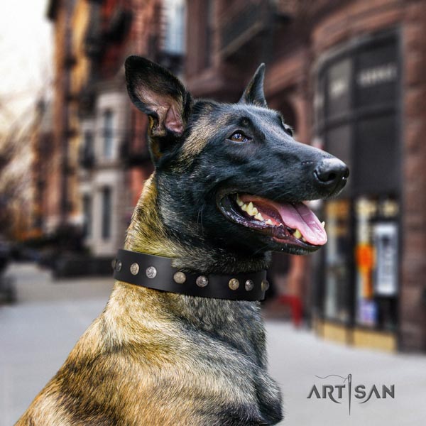 Belgian Malinois handy use genuine leather collar for your lovely dog