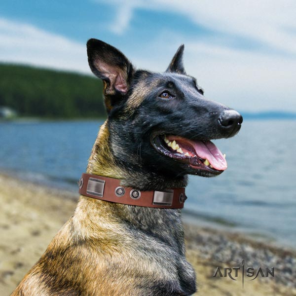 Belgian Malinois daily use leather collar for your impressive four-legged friend